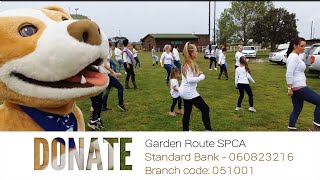 SPCA Jerusalema Challenge