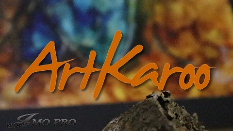 JMOPRO Photography & Videography